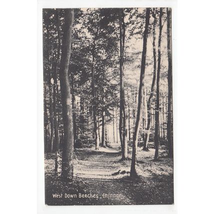 West Down Beeches Chinnor Postcard Oxfordshire