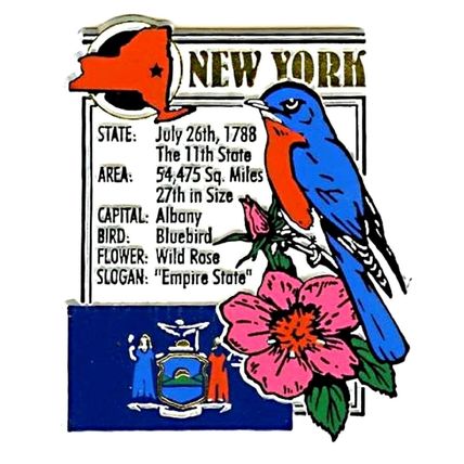 New York The Empire State Montage Fridge Magnet