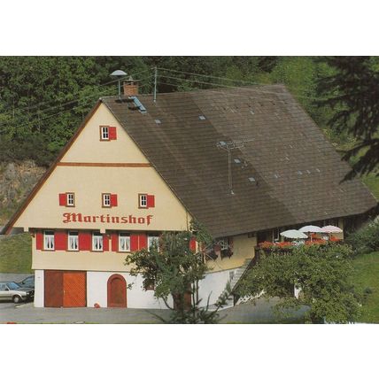 Cafe Martinshof Gasthof Kaltbrunn Switzerland Postcard