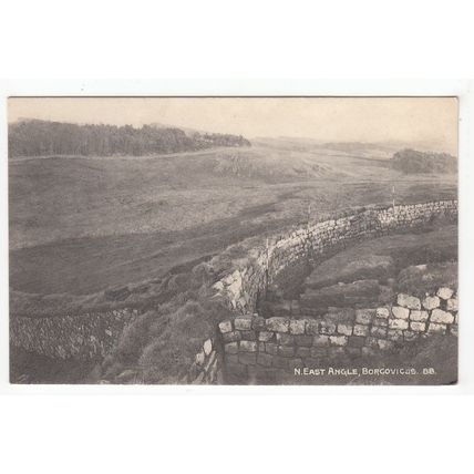 East Angle Roman Wall Borcovicus Housesteads Postcard Northumberland