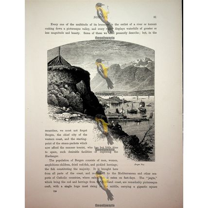 Bergen Bay, Norway, Book Illustration (Print), c1875
