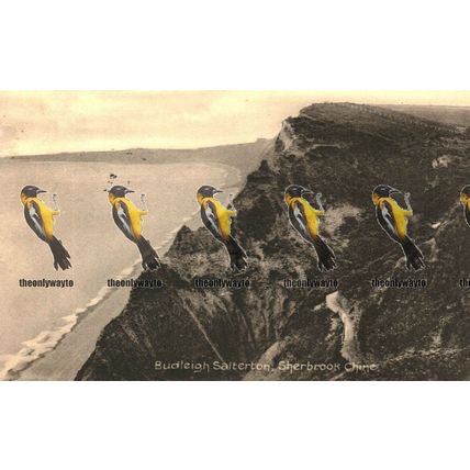 Budleigh Salterton, Sherbrook Chine, Devon, Postcard 1912