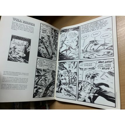 1978 1ST EDITION "MASTERS OF COMIC BOOK ART" HUGE PAPERBACK BOOK (P3)