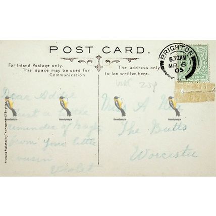 Royal Pavillion, South Gates, Brighton, Sussex, Mezzotint Co. Postcard, 1903