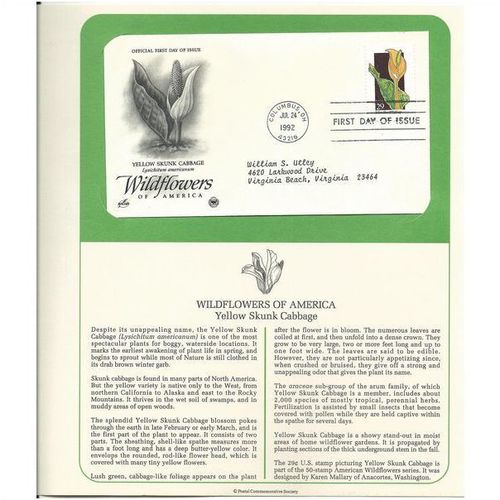 WILDFLOWERS OF AMERICA : YELLOW SKUNK 'OFFICIAL FIRST DAY of ISSUE ' (1992)