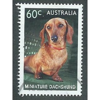 AUS 2013 60c 'TOP DOGS - DACHSHUND' FINE USED (EBID38-318)