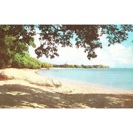 Six 6 Mans Bay St Peter Beach Barbados West Indies 1960s Postcard