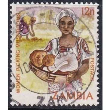 Zambia 1981 SG 342 Used (D-798 (3))