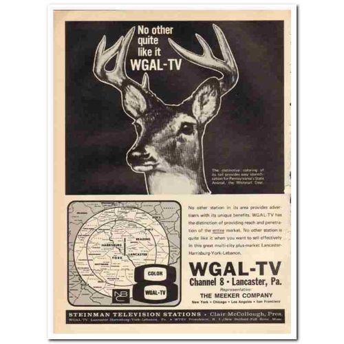 WGAL-TV 1973 Steinman Television Stations whitetail deer vintage ad