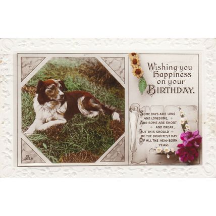 Dog Birthday Greetings Postcard 1928 used VGC