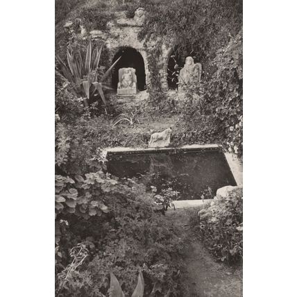 Museuu Alaoui Les Thermes D'Antonin Tunisia Postcard
