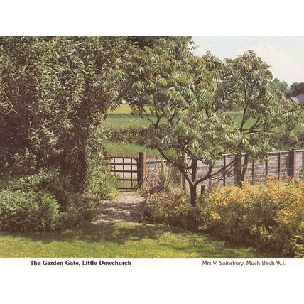 Little Dewchurch Country Garden Herefordshire Womens Institute Postcard