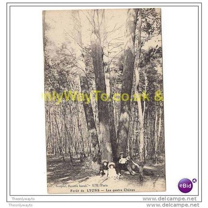 FORET DE LYON, LES QUATRE CHENES, FRANCE, Postcard