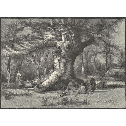A BURNHAM GIANT 1885 Anthony Warton Henley VICTORIAN PRINT