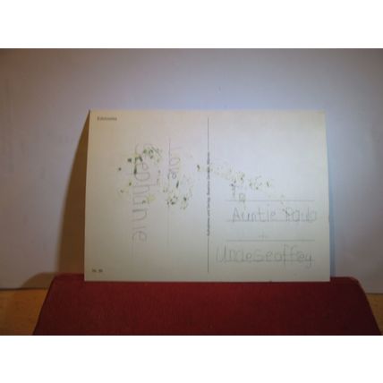 EDELWEISS flowers used postcard =