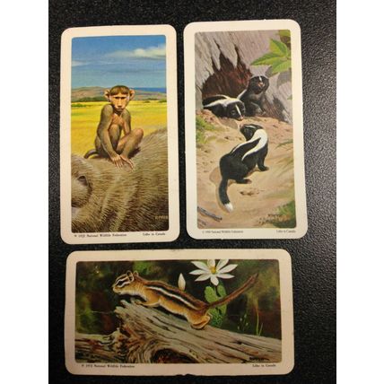 Red Rose Tea Card - Blue Ribbon Animals & Young Series 18 - Set of 18 cards
