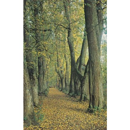 Pskov Pushkin Memorial Zone Anne Kern Walk Russian Postcard