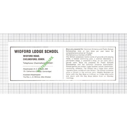Widford Lodge School Chelmsford Essex Small Advert - 1979 Cutting