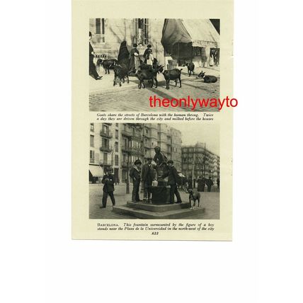 Arco De Triunfo, Barcelona, Spain (Goats & Fountain, Reverse), Book Illustration