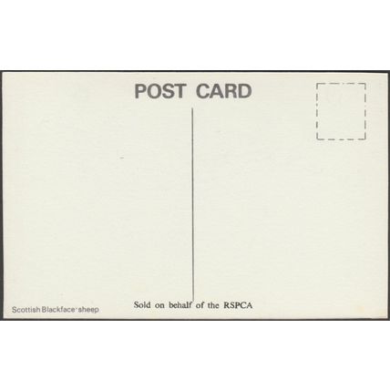 HJ Underwood - Scottish Blackface Sheep, 1984 - RSPCA Postcard