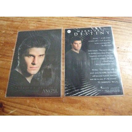 ANGEL - Single Chase Card Warrior Destiny W1 - by Inkworks