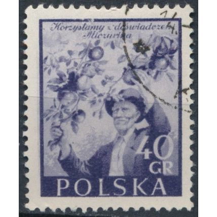 Polish Soviet Friendship Month: 40gr - Poland 1954 - FH - MiNr 870