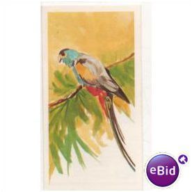 Vintage 1978 Brooke Bond Tea card Vanishing Wildlife No.36 Golden Parakeet