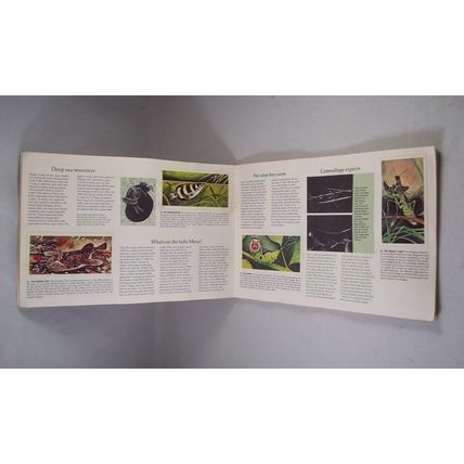 Brooke Bond Tea Card Album: 1976 Wonders of Wildlife, With All Cards