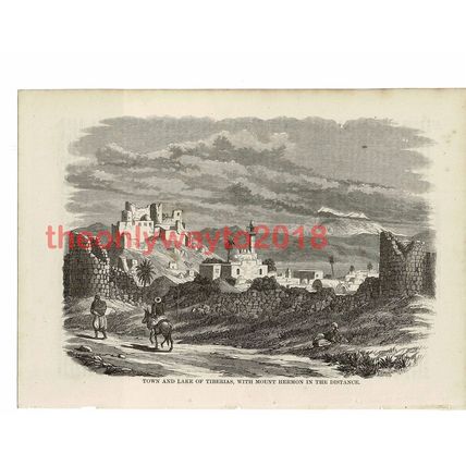 Town & Lake of Tiberias & Mt Hebron, Holy Land, Book Illustration (Print), 1861