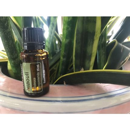 doTERRA NIaouli Essential Oil NEW & SEALED Exp 03/28