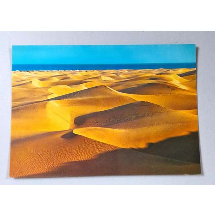 PLAYA DEL INGLES - GRAN CANARIA - POSTCARD ~