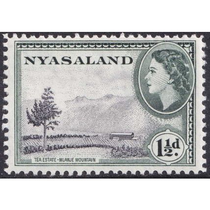 Nyasaland QEII 1953-54 1 1/2d Black Deep Grey-Green SG175 Mint MH
