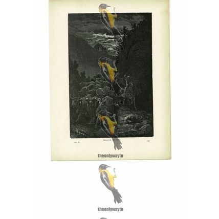 Bulls For The Fight, Andalusia, Spain, Book Illustration (Print), c1880