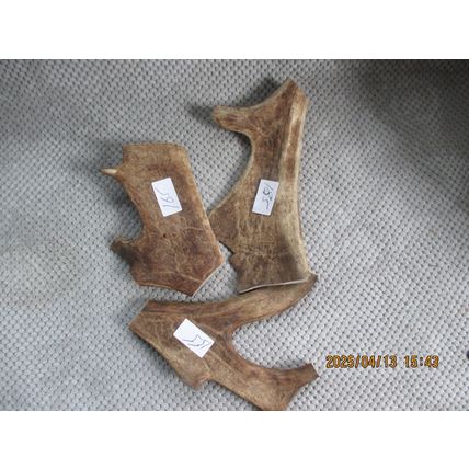 FALLOW DEER ANTLER DOG CHEWS. 155-185 GRAMS