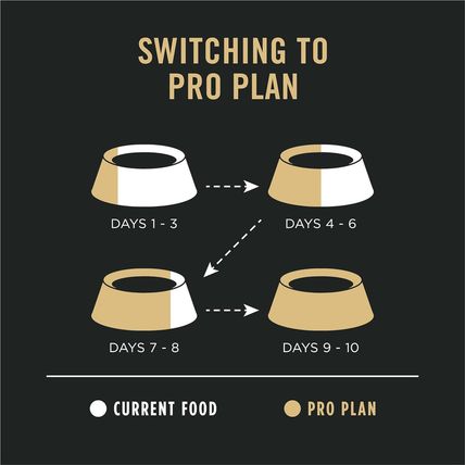 Purina Pro Plan Sensitive Skin and Stomach Dog Food Dry, Adult Salmon & Rice For