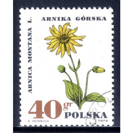 POLAND 1967, Medicinal Plants - Mountain arnica (Arnica montana), 40 G, CTO