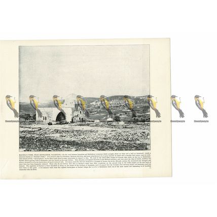 Rachel's Tomb, Near Bethlehem, Israel, Book Illustration (Print), 1899