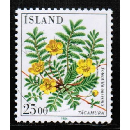 1984 Iceland - Flower 25.00 kr- Sc# 587 used