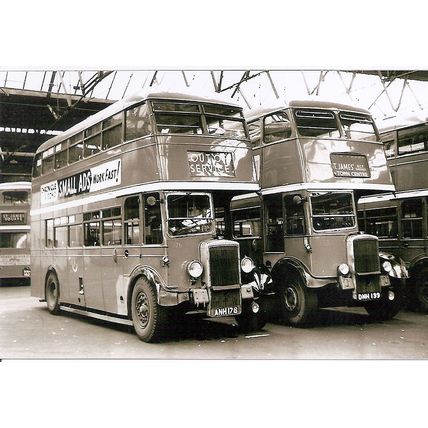 Black & White Photograph of Northampton Corporation Transport - ANH 176