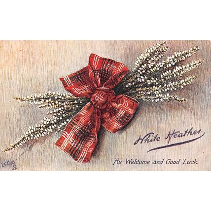 White Heather : Tuck Oilette 9485 "Sprig o' Heather"