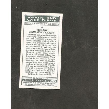 Cigarette Card Players Aviary & Caged Birds 1933 # 6 Yellow Cinnamon Canary