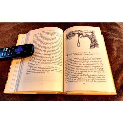 Adventures Of Huckleberry Finn By Mark Twain W/Dustjacket 1954 Great Shape