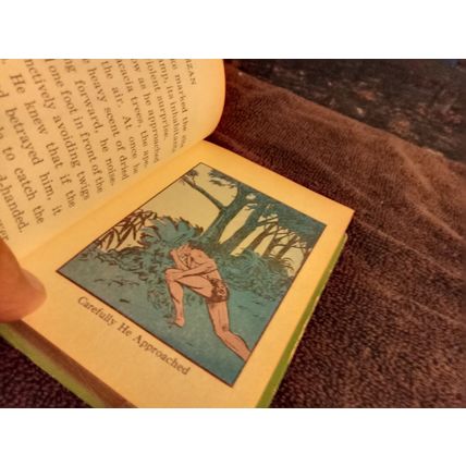 Big Little Book Tarzan The Mark Of The Red Hyena # 2005 By George S Elrick 1967