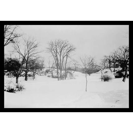 First Snow of the Season in Central Park 12 x 18 Poster