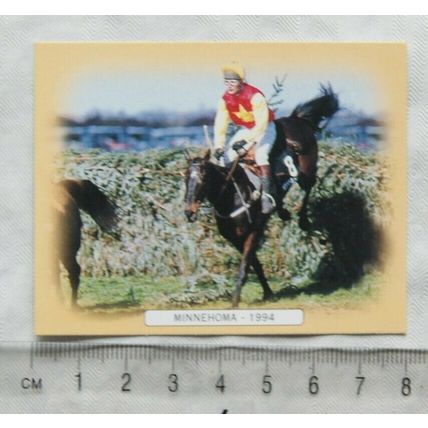 GDS Cards Grabd National 1994 Minnehoma