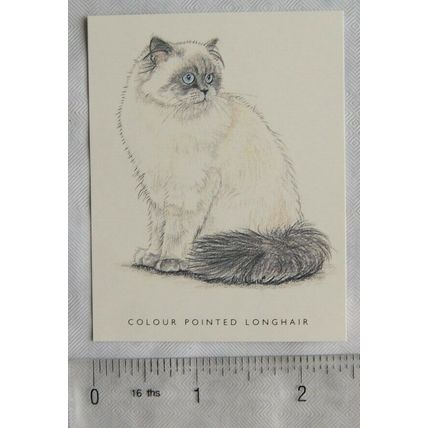 Golden Era card - Cats No. 10 Colour Pointed Longhair