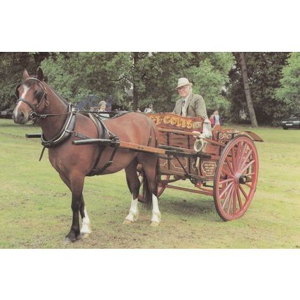 Frome Somerset Milk Horse & Cart Postcard