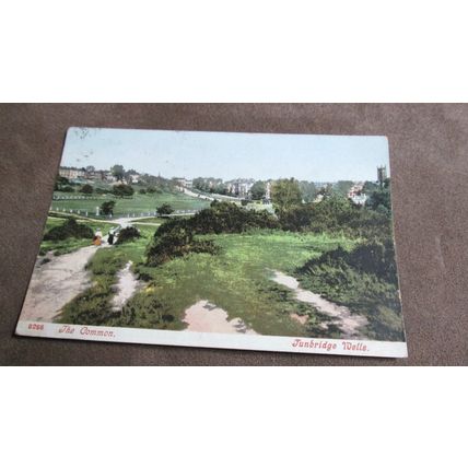 1905 fr Postcard - The Common - Tunbridge Wells, Kent
