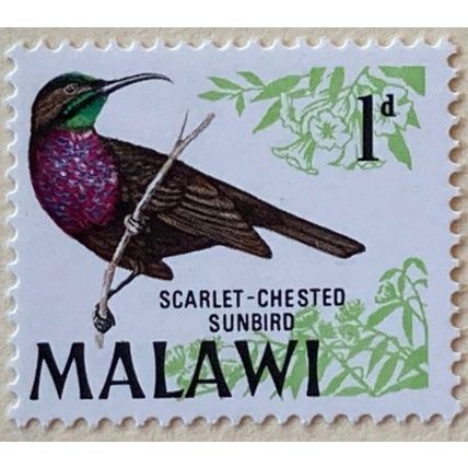 Malawi QEII 1968 1d Scarlet Chested Sunbird Unmounted Mint MNH SG 310 stamp