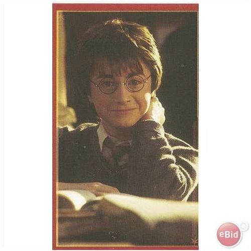 Panini's Magical World of Harry Potter Sticker No. 9